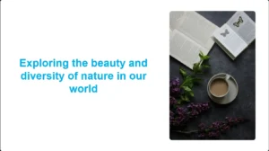 Modèle PowerPoint sur le thème des Flatlays floraux