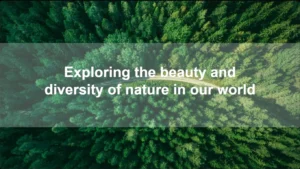 Forest Theme PowerPoint Template