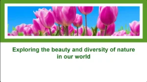 Modèle PowerPoint sur le thème de la nature verte