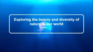 Modèle PowerPoint sur le thème marin