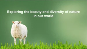 Pastoral Theme PowerPoint Template