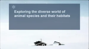 White World Theme PowerPoint Template