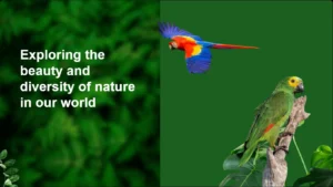 Modèle PowerPoint sur le thème de la faune sauvage