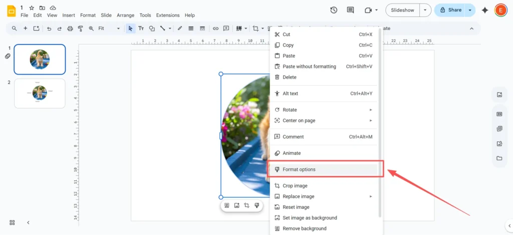 Cum se aplică efecte de imagine în Google Slides (un ghid simplu pas cu pas)